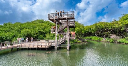 /rif-mangrove-park-1.jpg